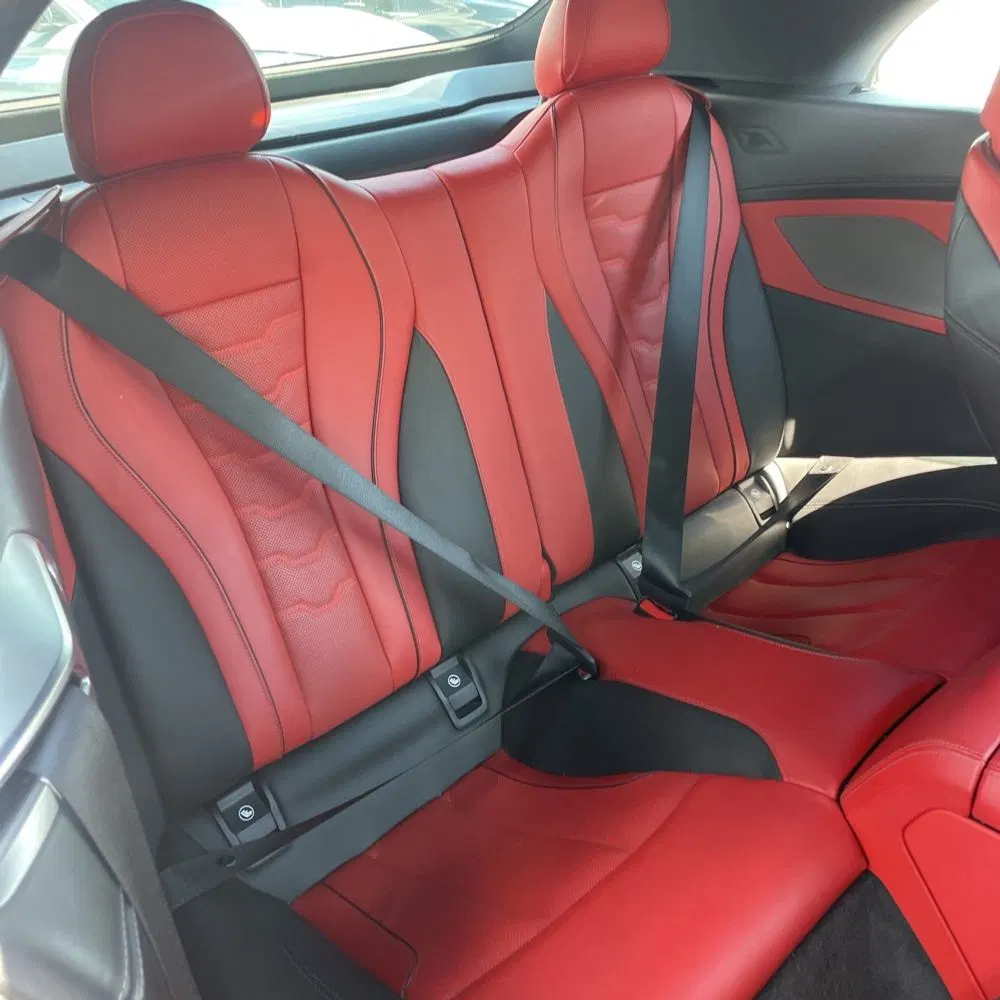 2019 BMW 8-Series M850xi
