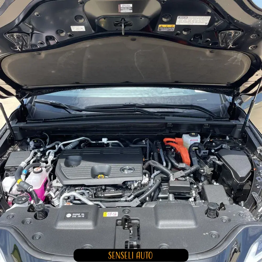 2025 Lexus NX 450h+ F SPORT Handling