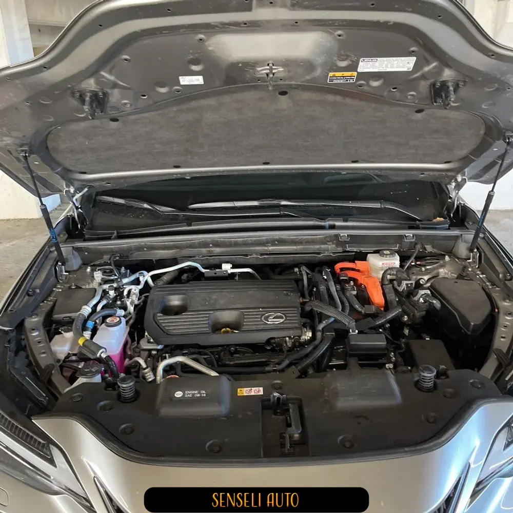 2025 Lexus NX 450h+ Base