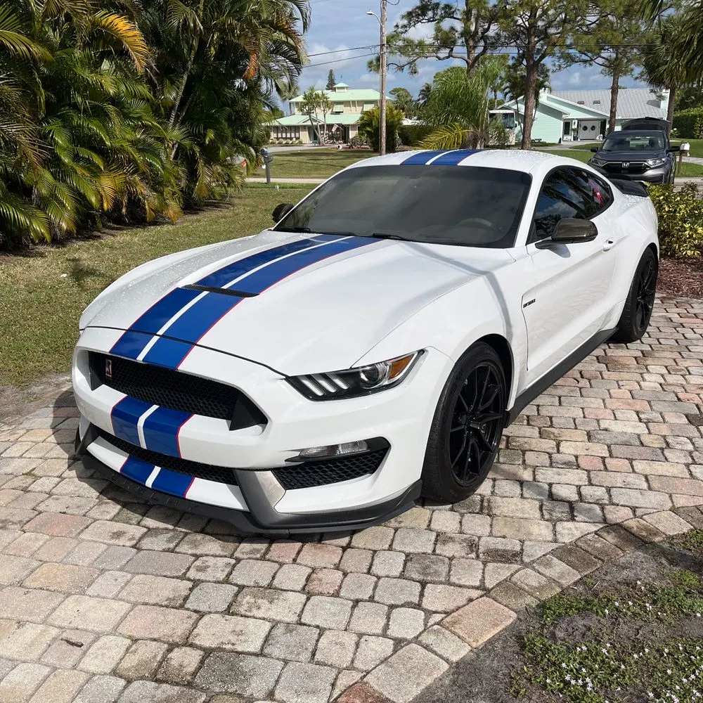 2019 Ford Mustang Shelby GT350