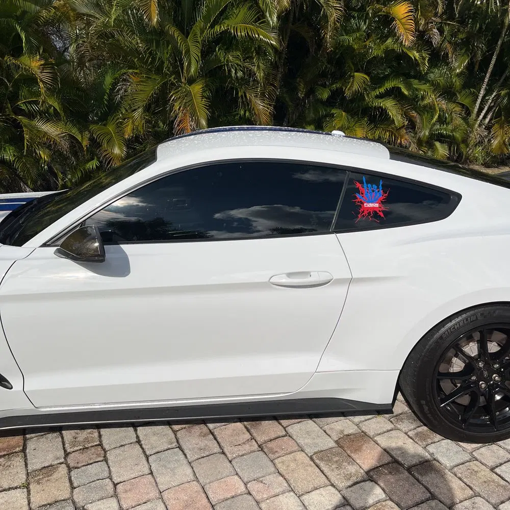 2019 Ford Mustang Shelby GT350