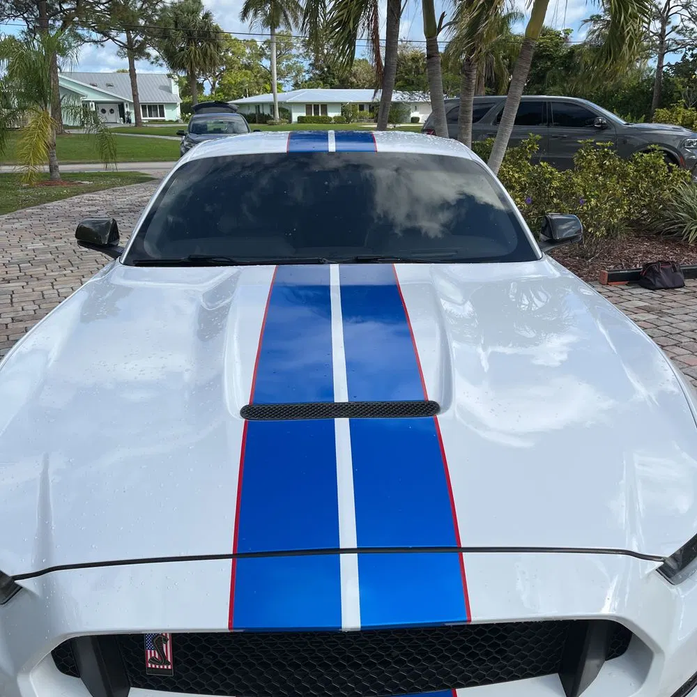 2019 Ford Mustang Shelby GT350