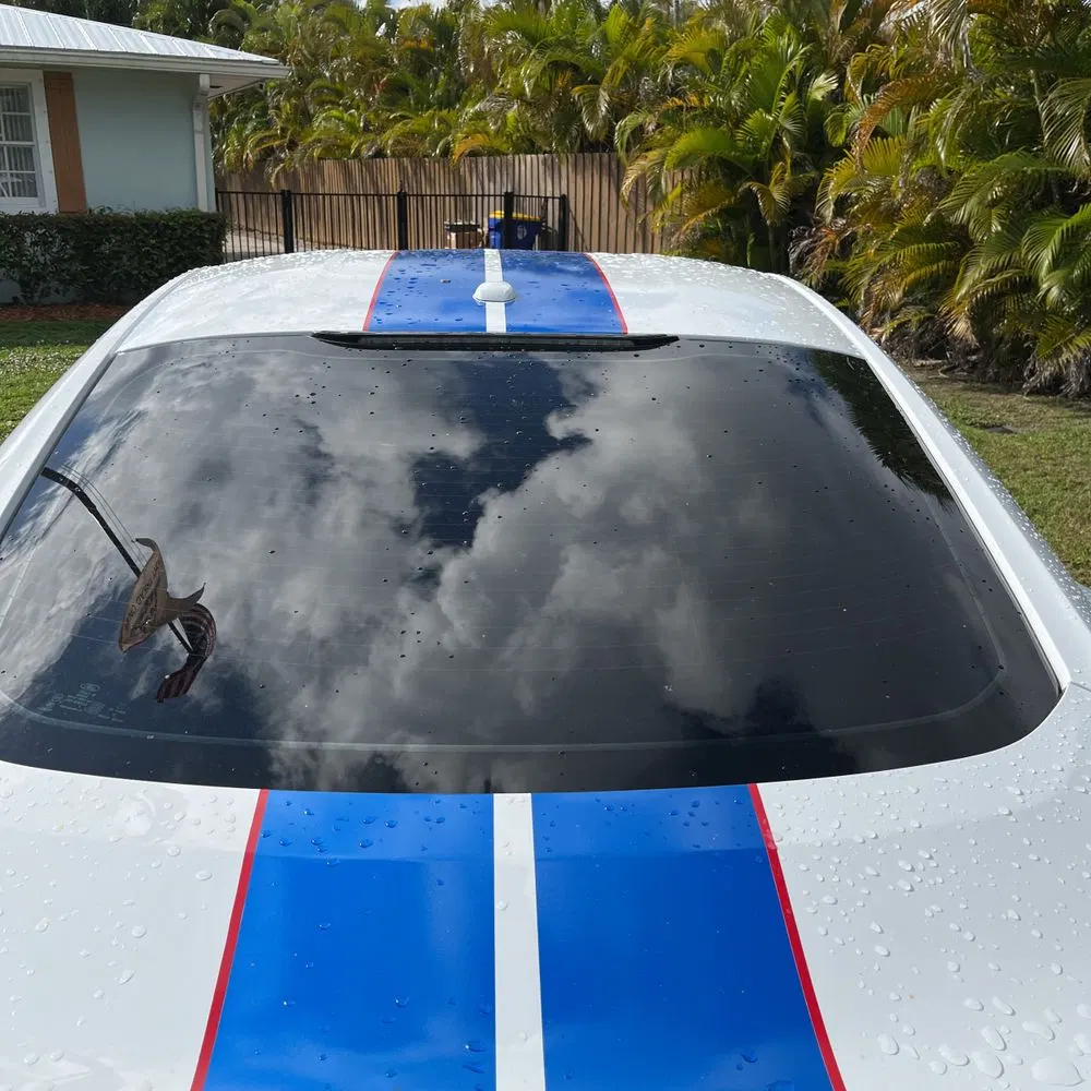 2019 Ford Mustang Shelby GT350