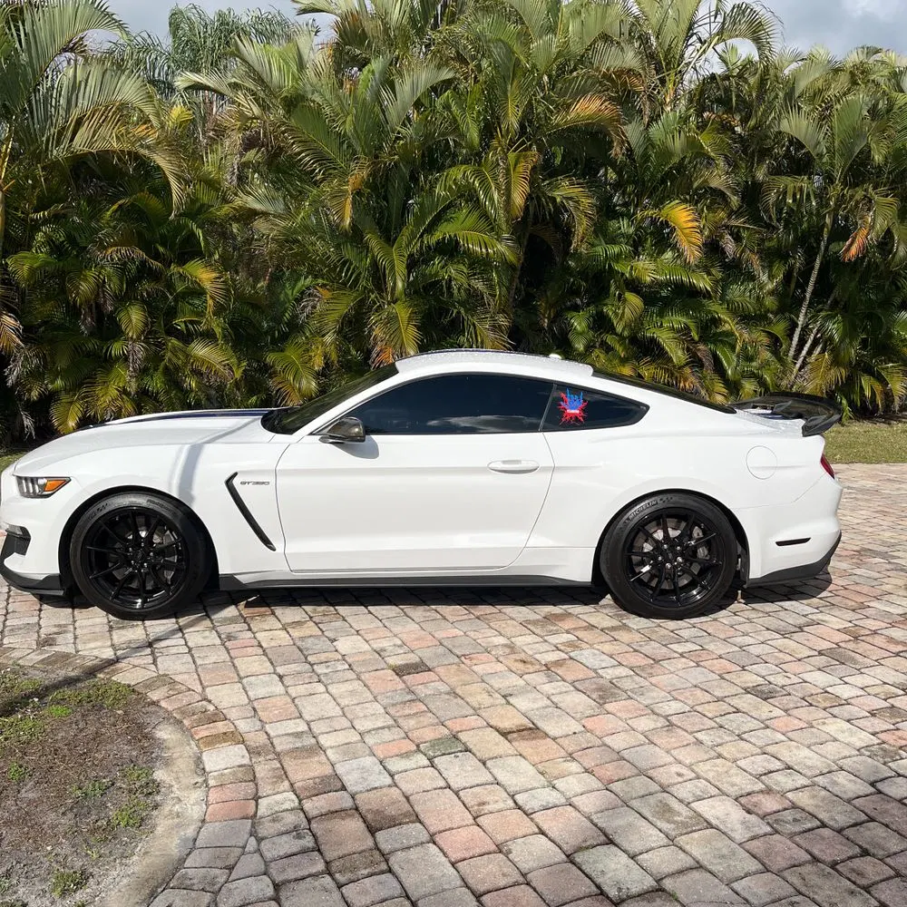 2019 Ford Mustang Shelby GT350
