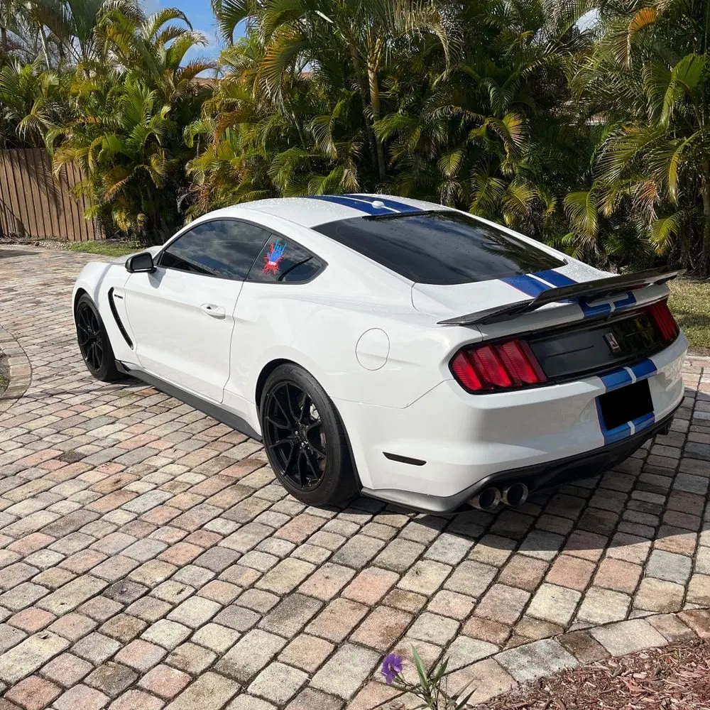 2019 Ford Mustang Shelby GT350