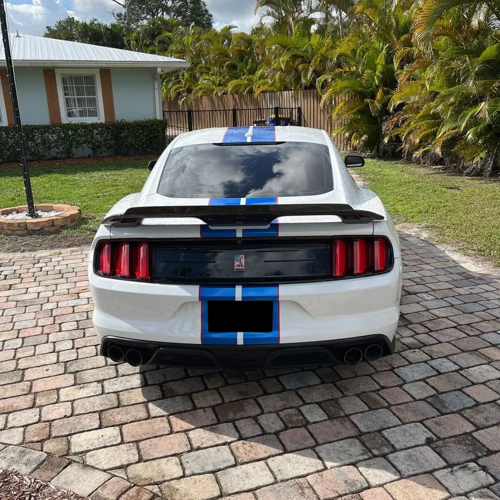 2019 Ford Mustang Shelby GT350