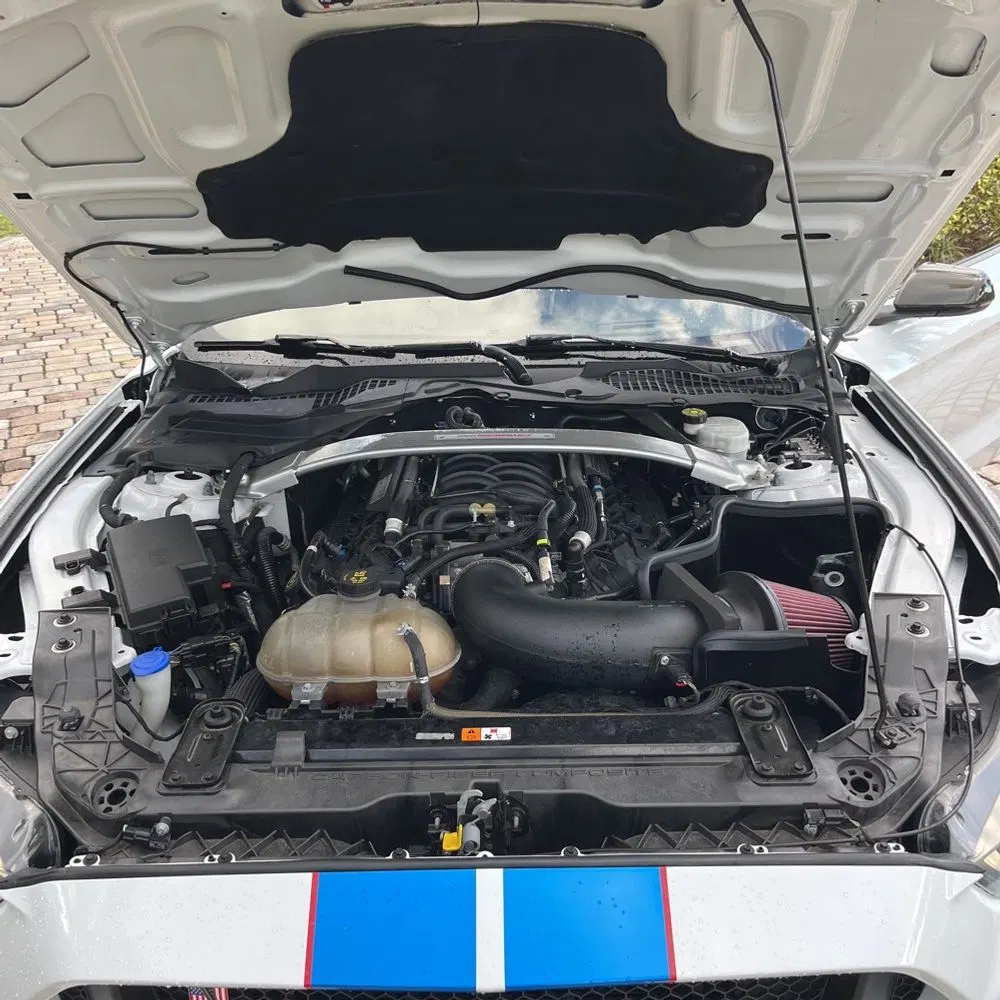 2019 Ford Mustang Shelby GT350