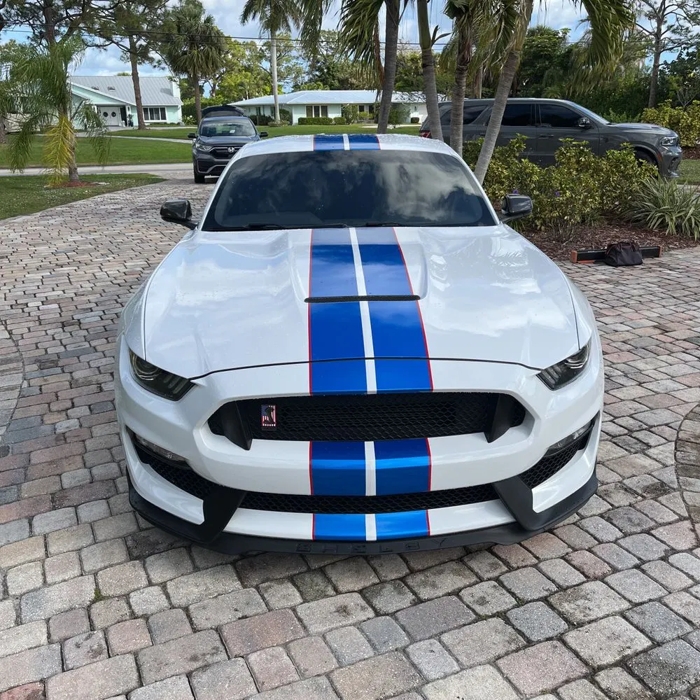 2019 Ford Mustang Shelby GT350