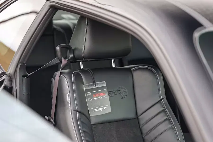 2023 Dodge Challenger Black Ghost