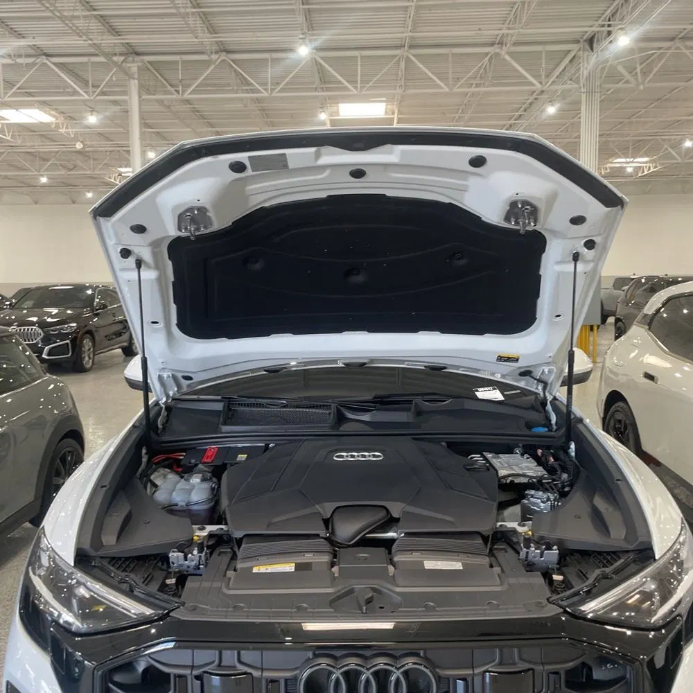 2025 Audi Q8 Prestige 55