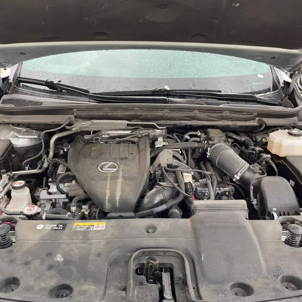 2023 Lexus RX 500h F SPORT Performance