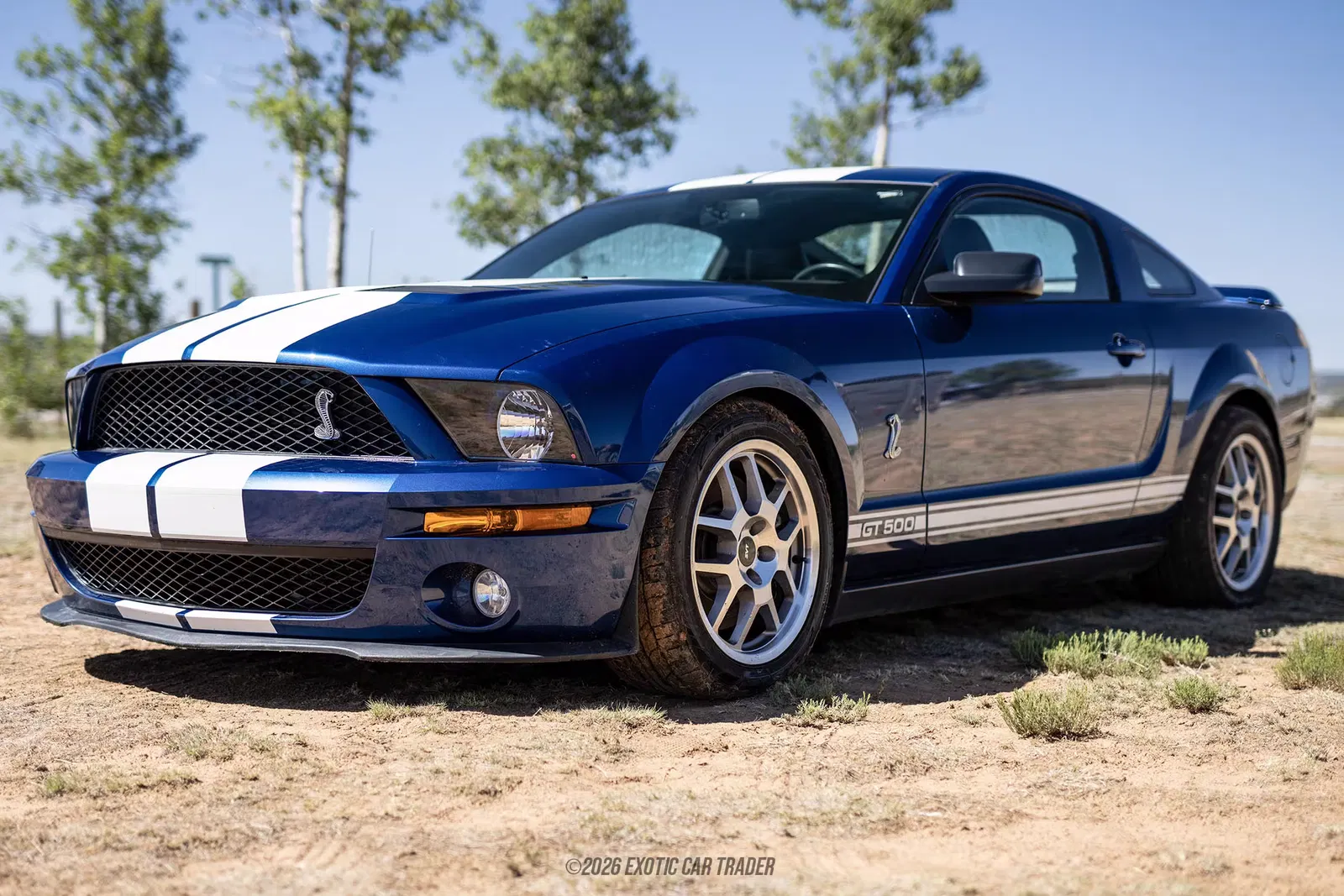 2007 Ford Mustang Shelby GT500