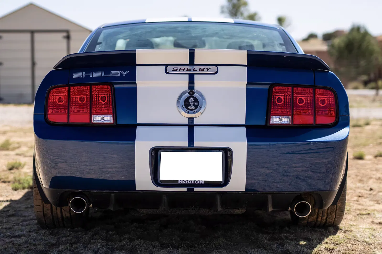 2007 Ford Mustang Shelby GT500