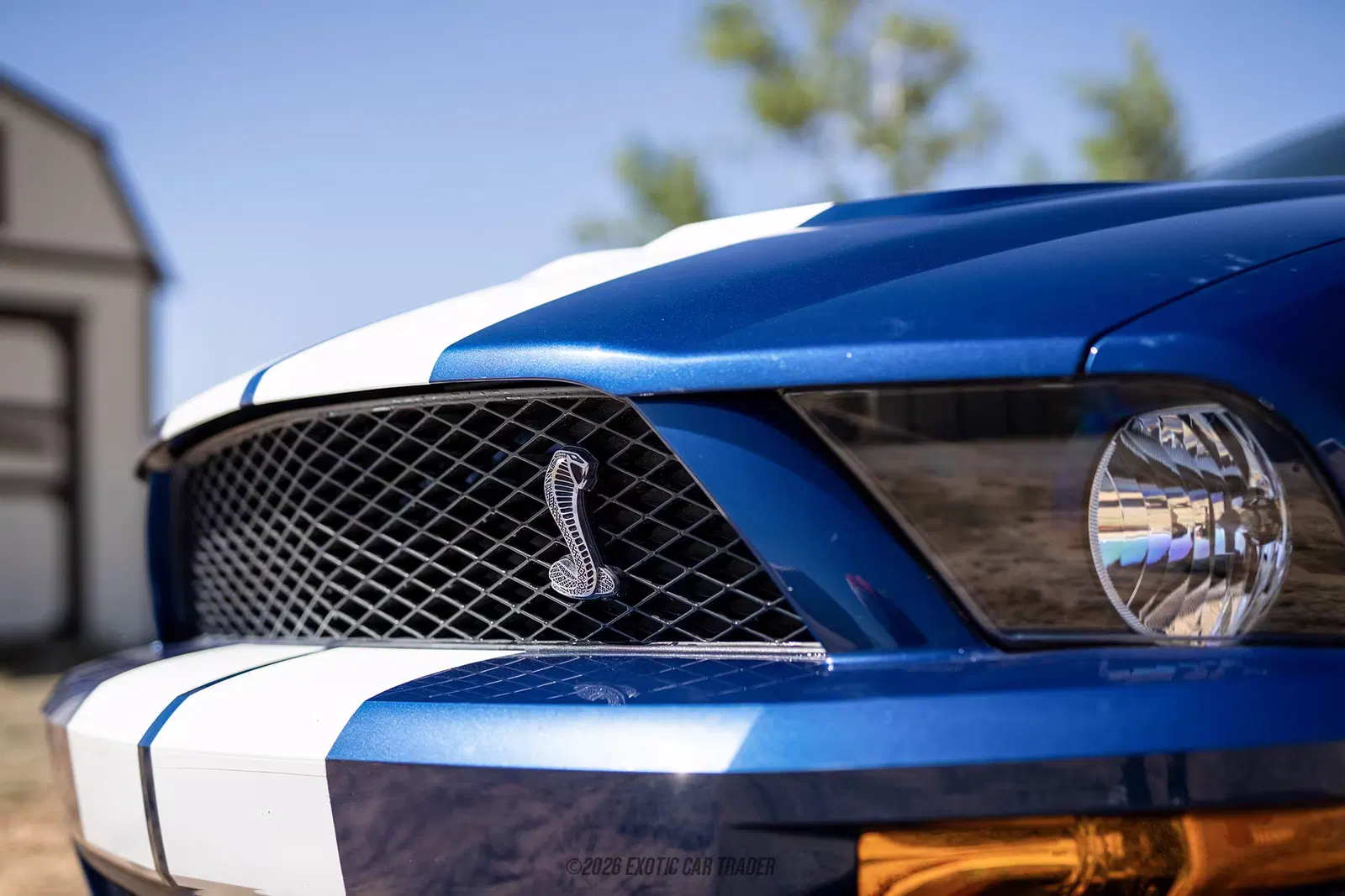 2007 Ford Mustang Shelby GT500
