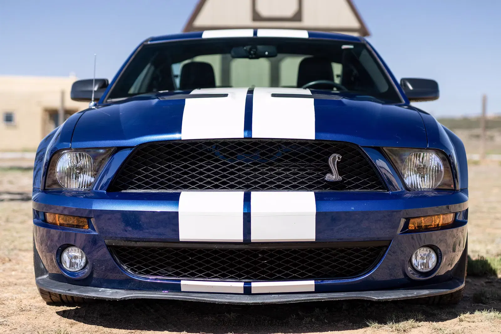 2007 Ford Mustang Shelby GT500