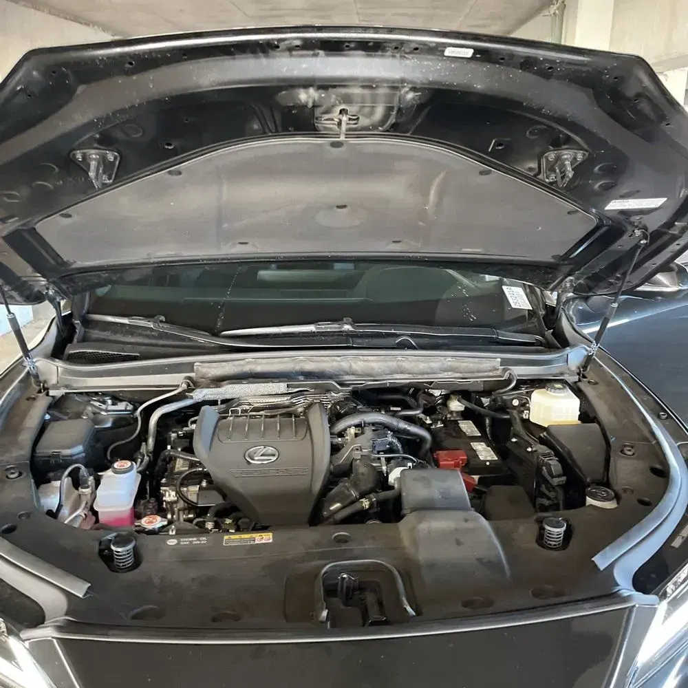 2024 Lexus RX 350 Premium