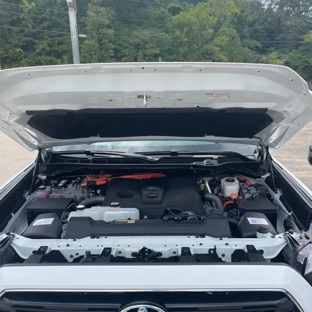 2024 Toyota Sequoia SR5