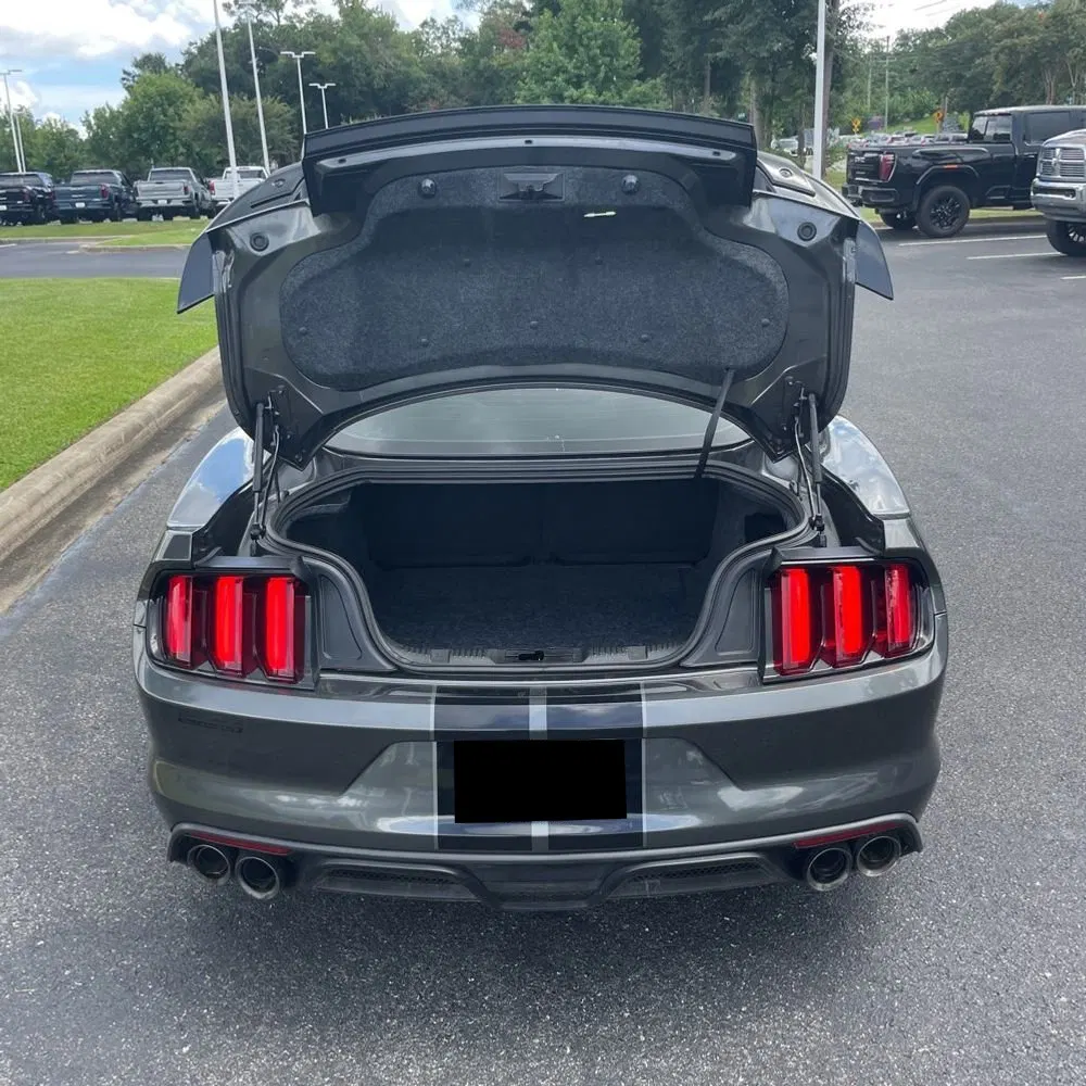 2019 Ford Mustang Shelby GT350