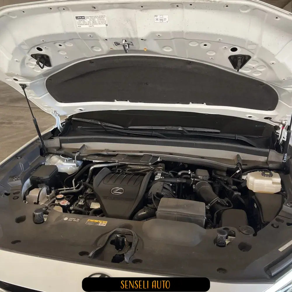 2025 Lexus TX 500h F SPORT Performance Premium
