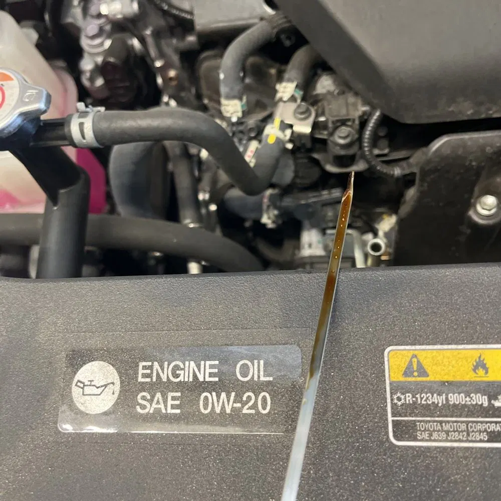 2025 Lexus TX 500h F SPORT Performance Premium