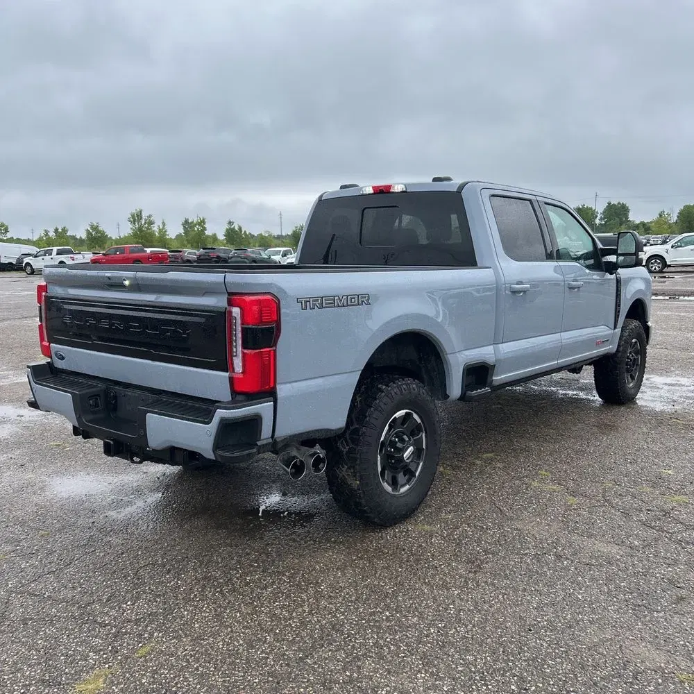 2025 Ford F250 S/D Platinum