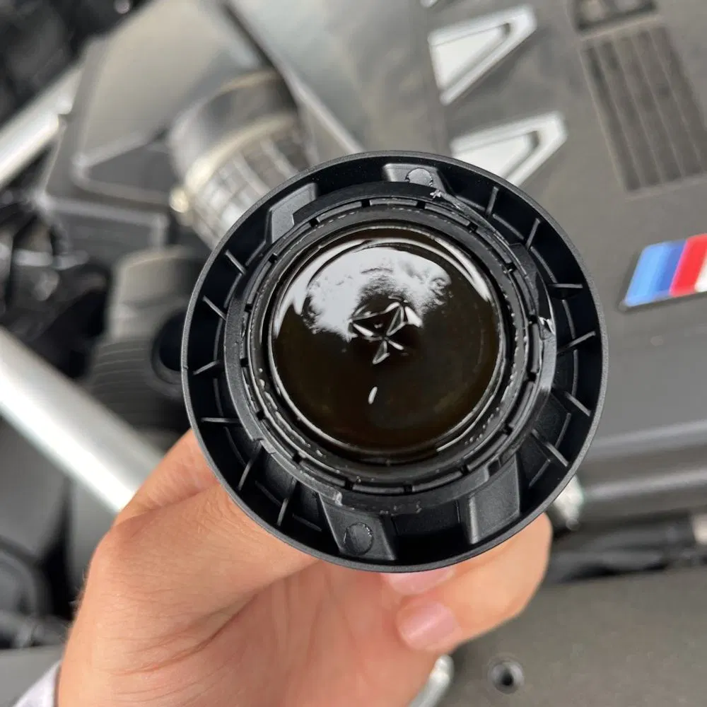 2025 BMW X5 M60i