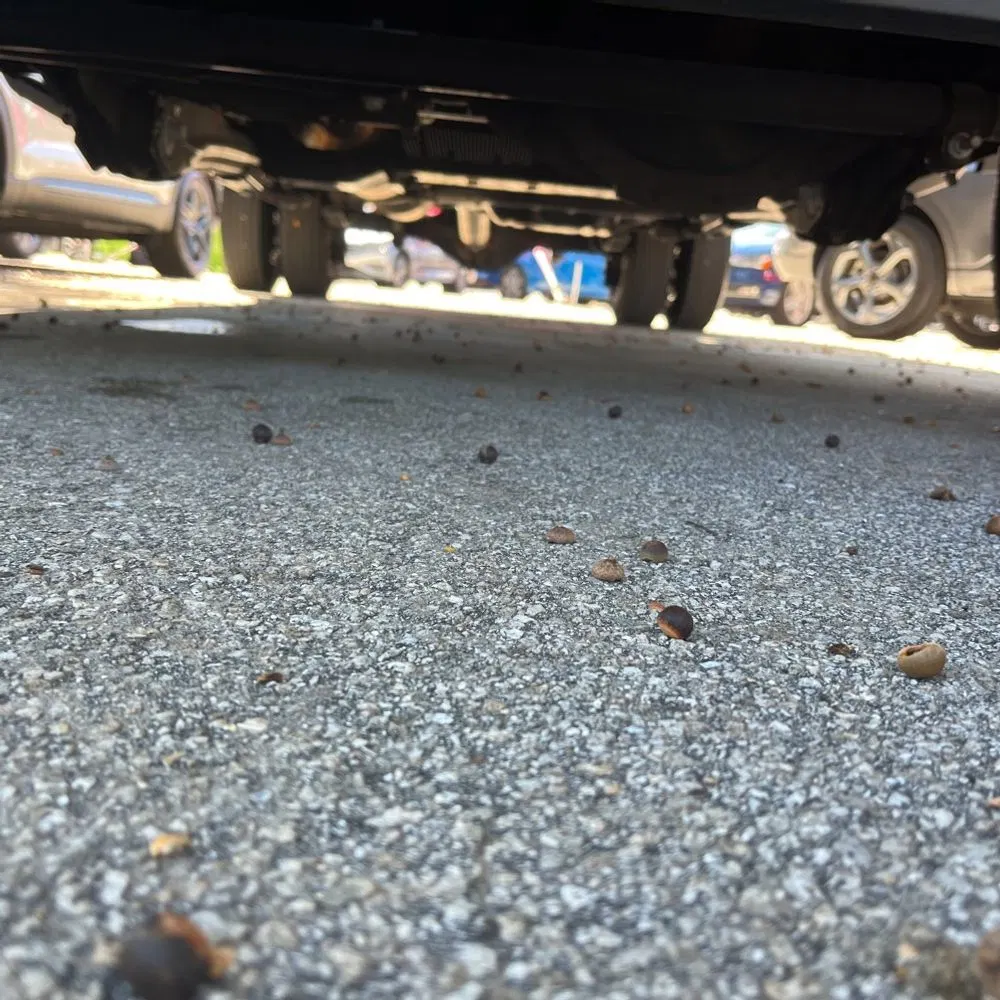 2025 Ram 3500 Laramie