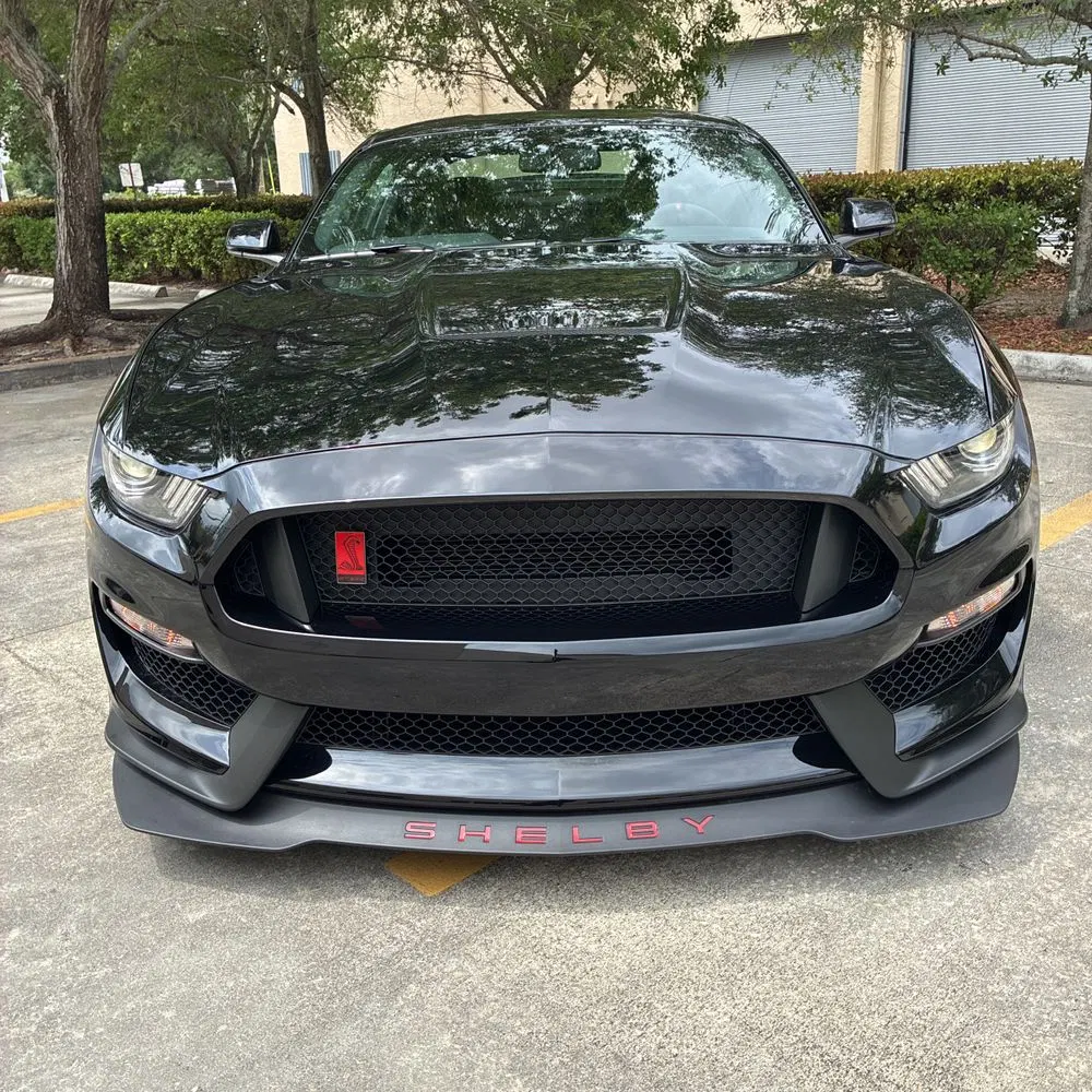 2019 Ford Mustang Shelby GT350R