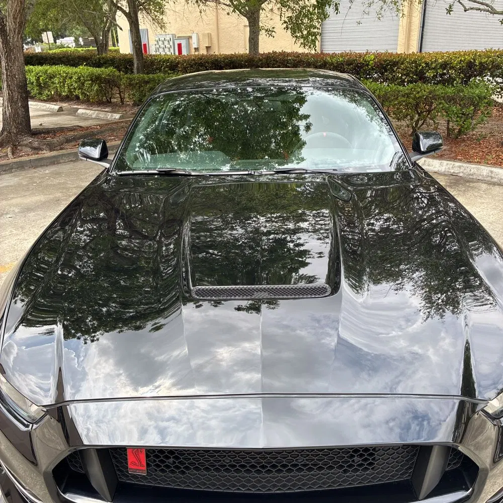 2019 Ford Mustang Shelby GT350R