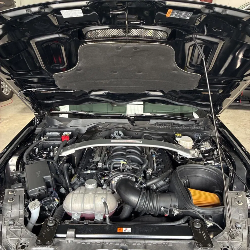 2019 Ford Mustang Shelby GT350R