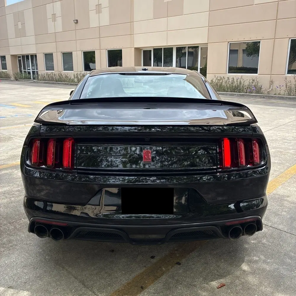 2019 Ford Mustang Shelby GT350R