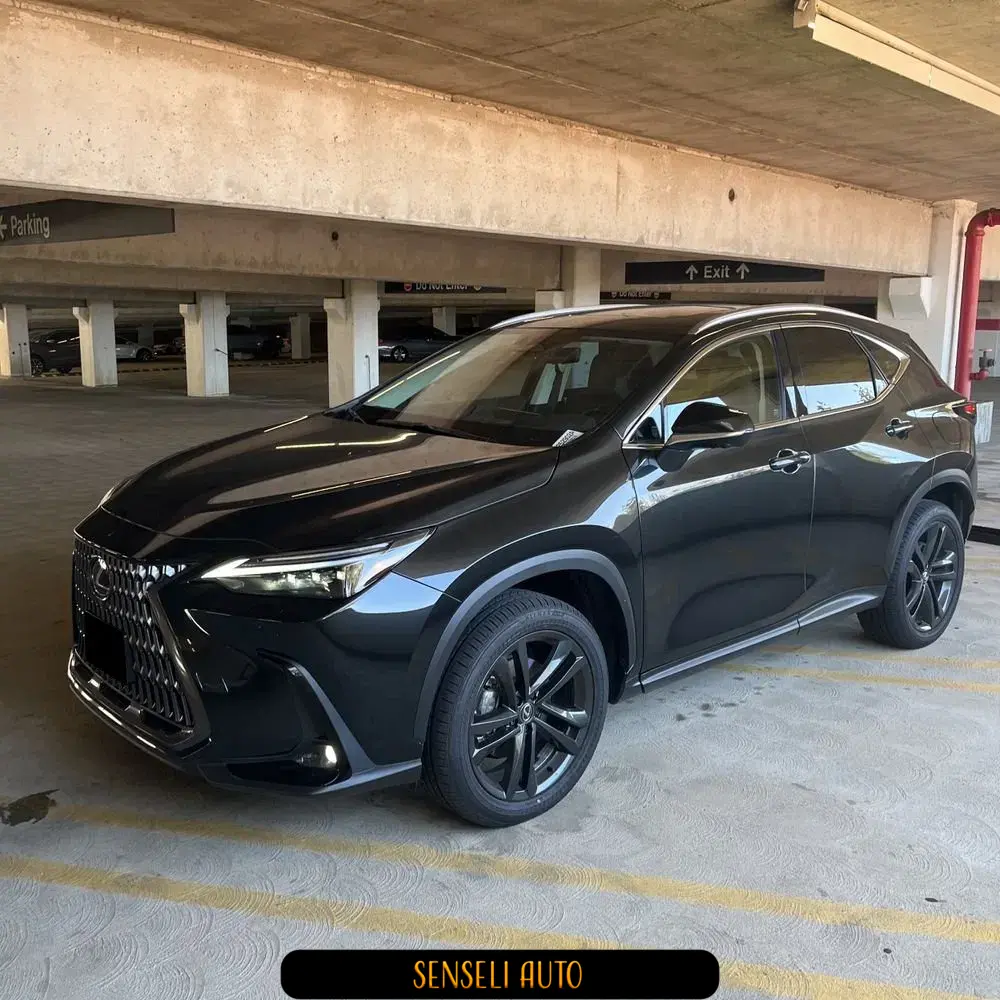 2024 Lexus NX 450h+ Base