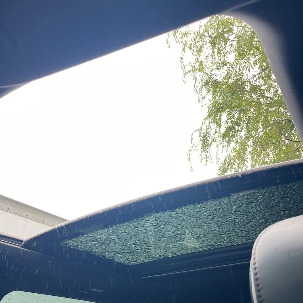 2022 Ford F350 S/D Platinum