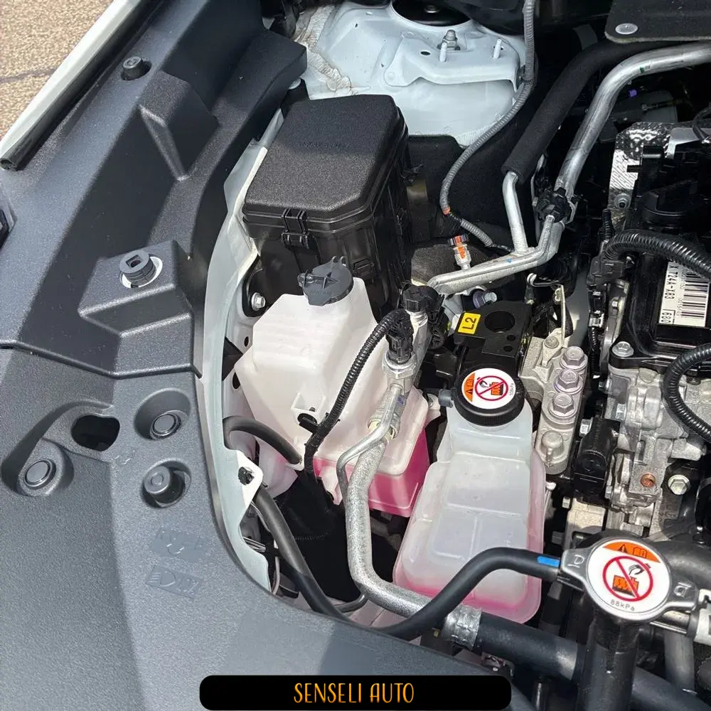 2024 Lexus TX 500h F SPORT Performance Premium