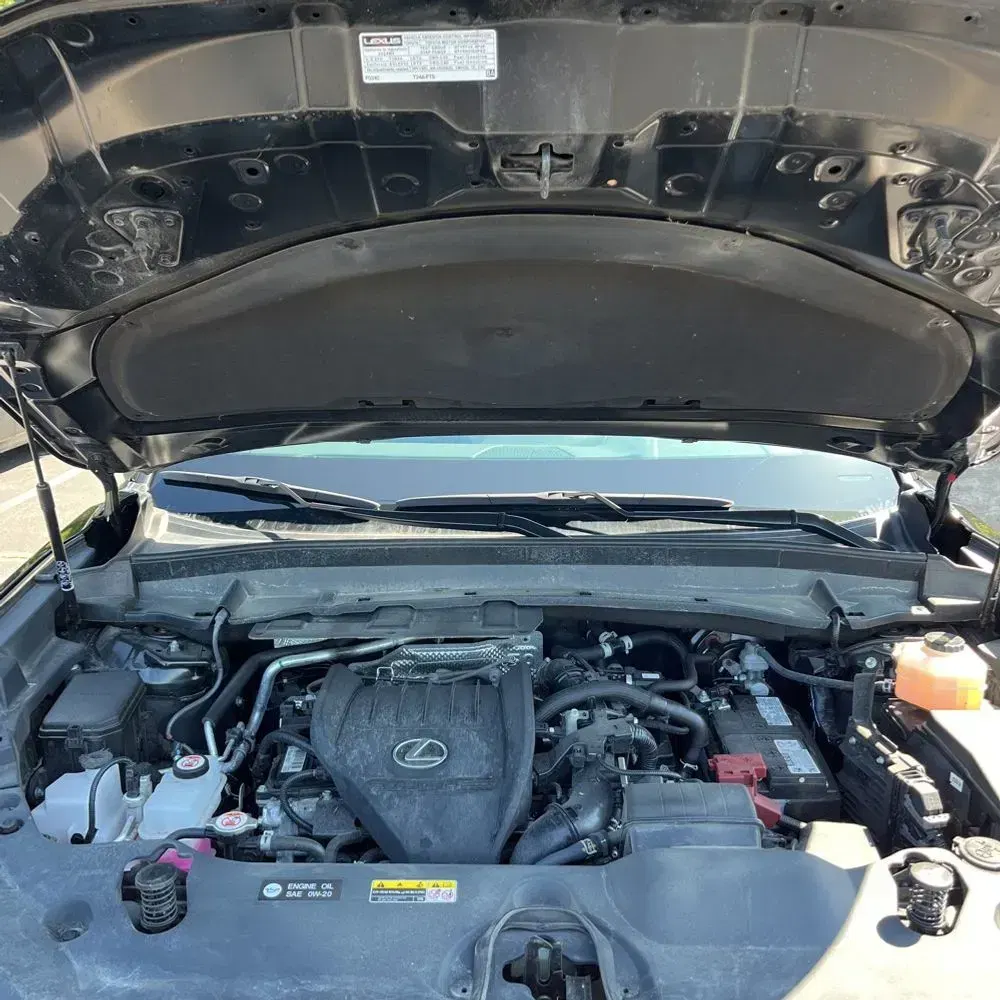 2024 Lexus TX 350 Premium