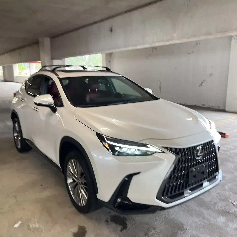 2023 Lexus NX 350h Luxury