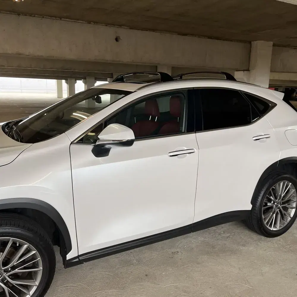 2023 Lexus NX 350h Luxury