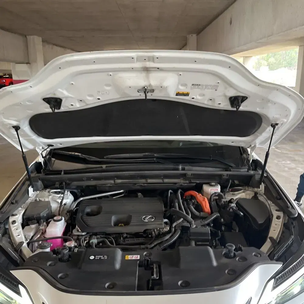 2023 Lexus NX 350h Luxury