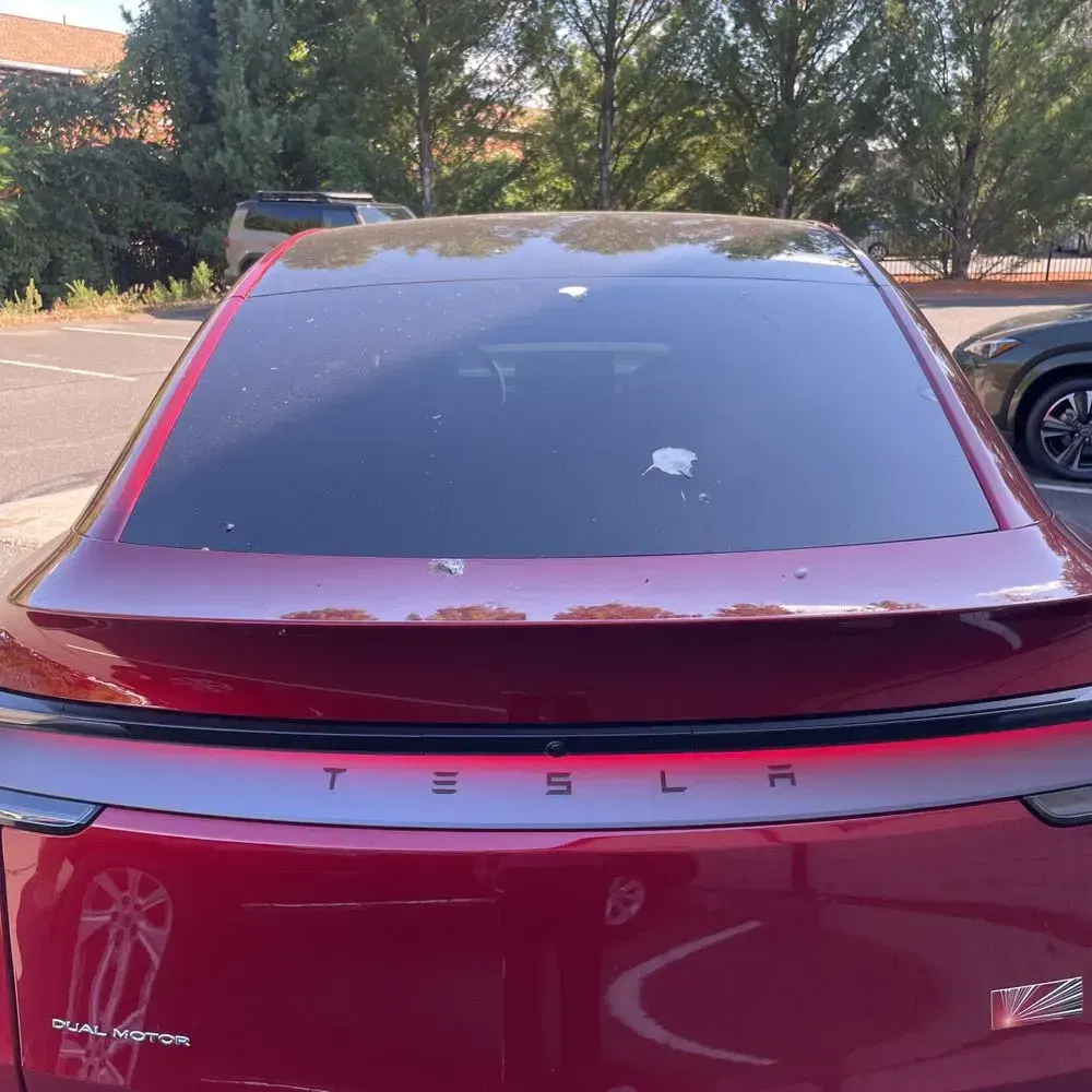 2026 Tesla Model Y Launch Series
