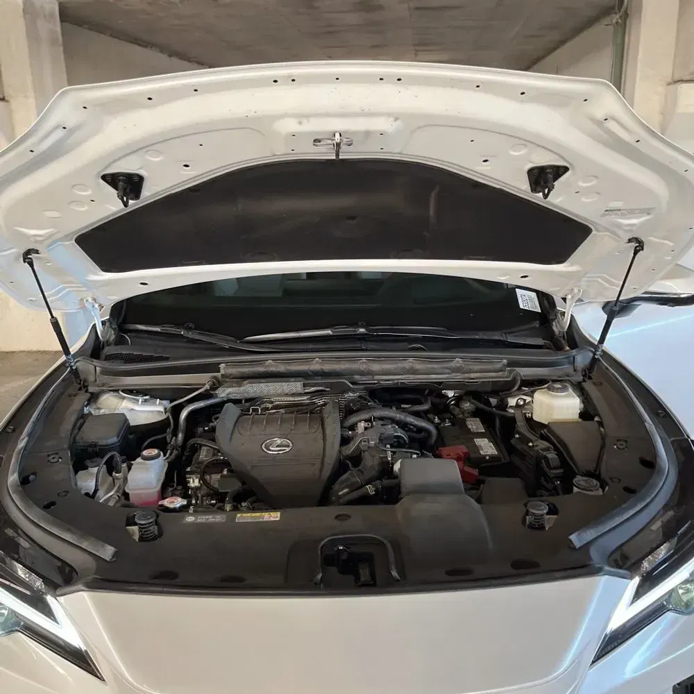 2023 Lexus RX 350 Premium+