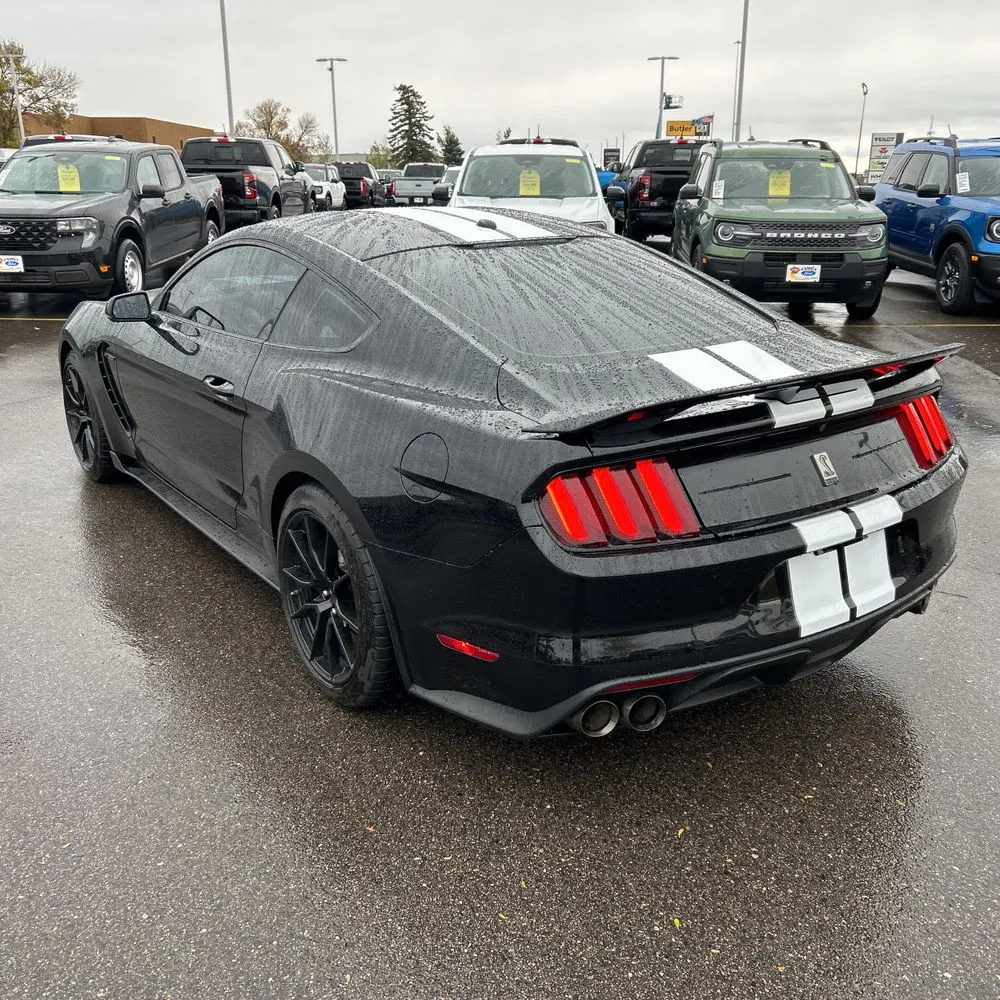 2019 Ford Mustang Shelby GT350