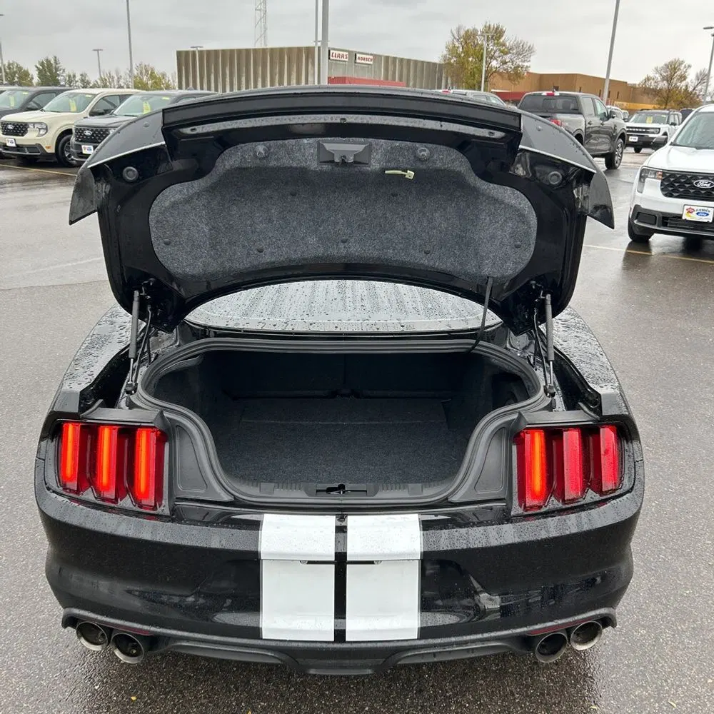2019 Ford Mustang Shelby GT350
