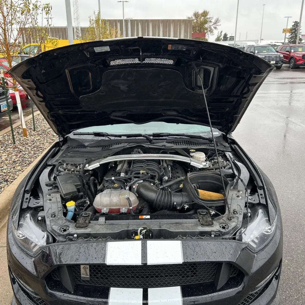 2019 Ford Mustang Shelby GT350
