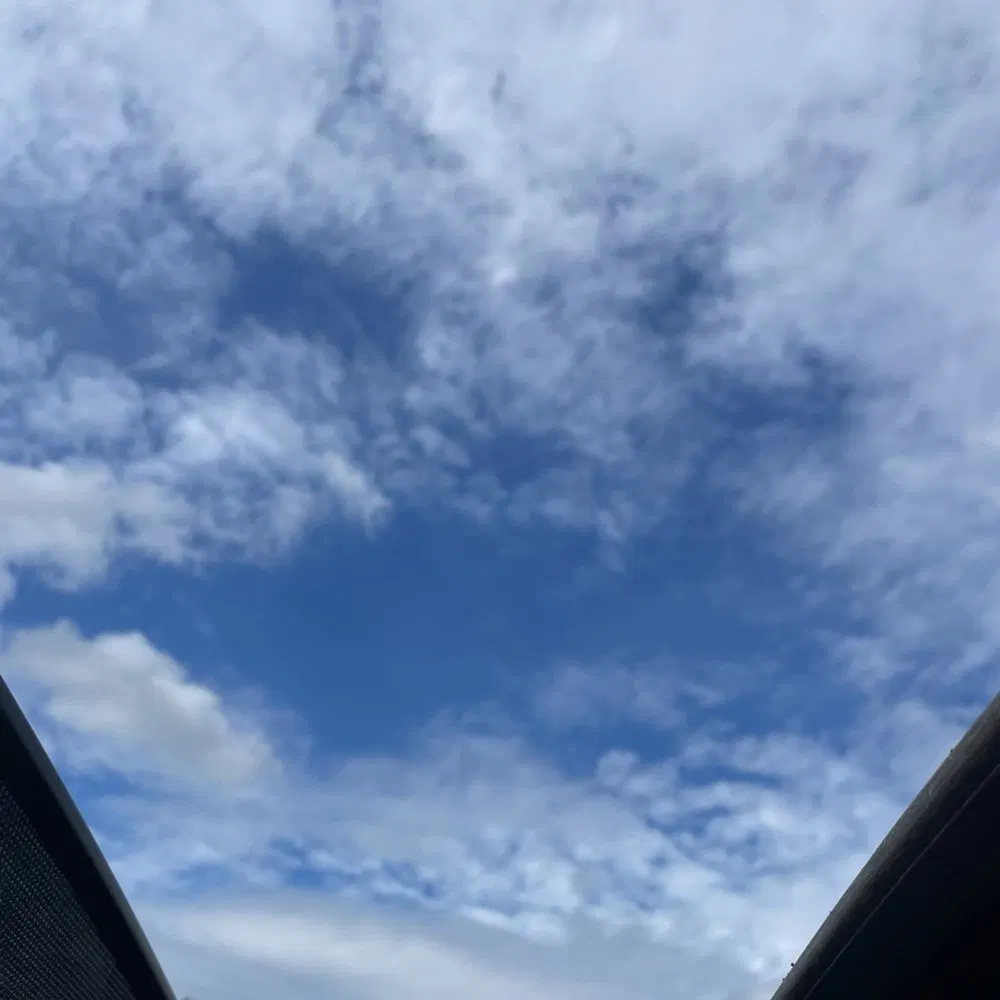 2019 Ford F-450 Super Duty Limited