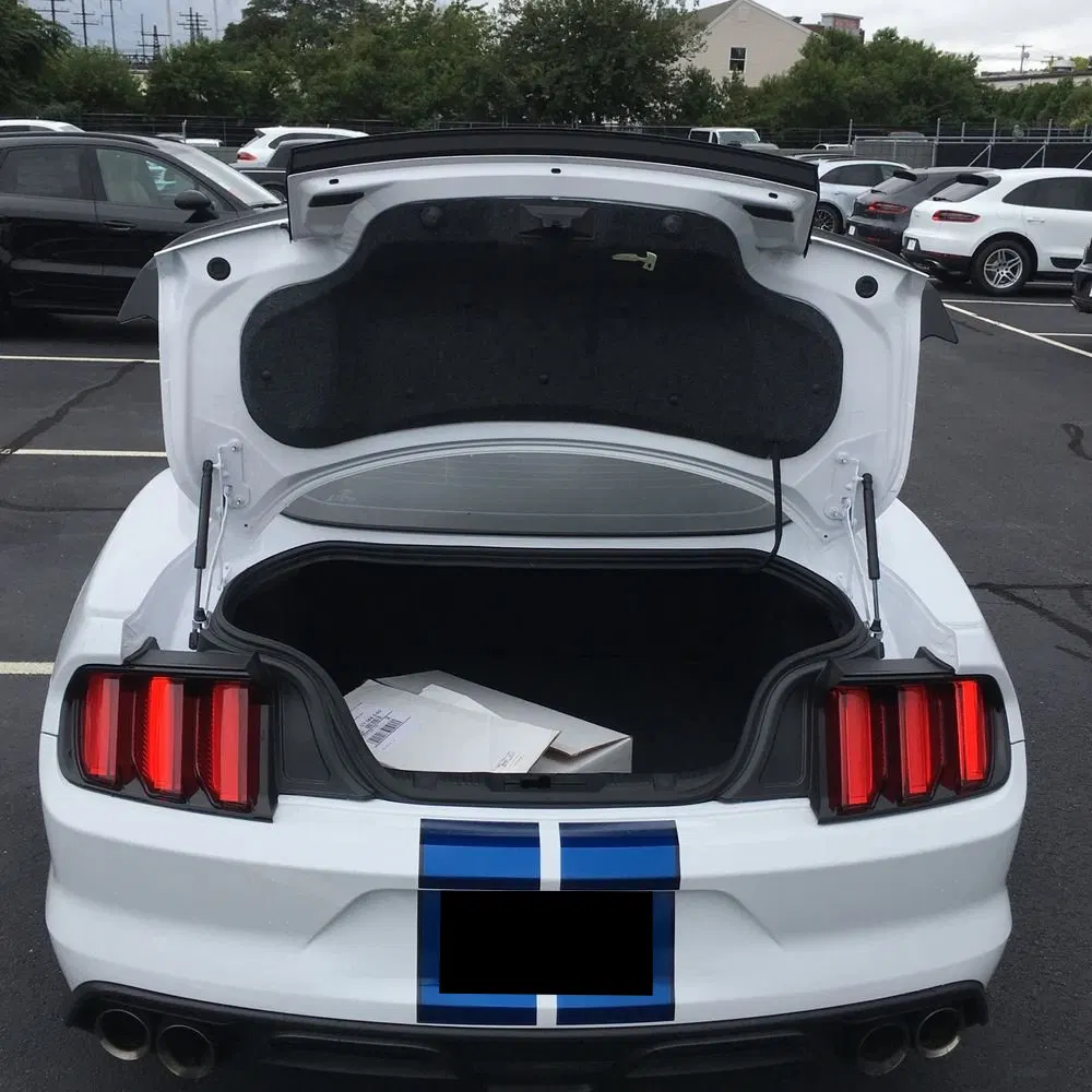 2017 Ford Mustang Shelby GT350
