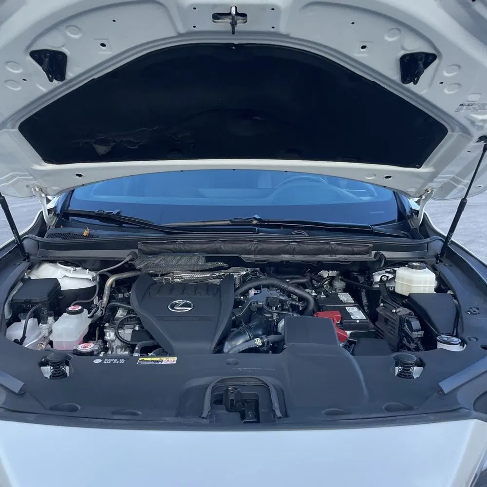 2023 Lexus RX 350 Premium+