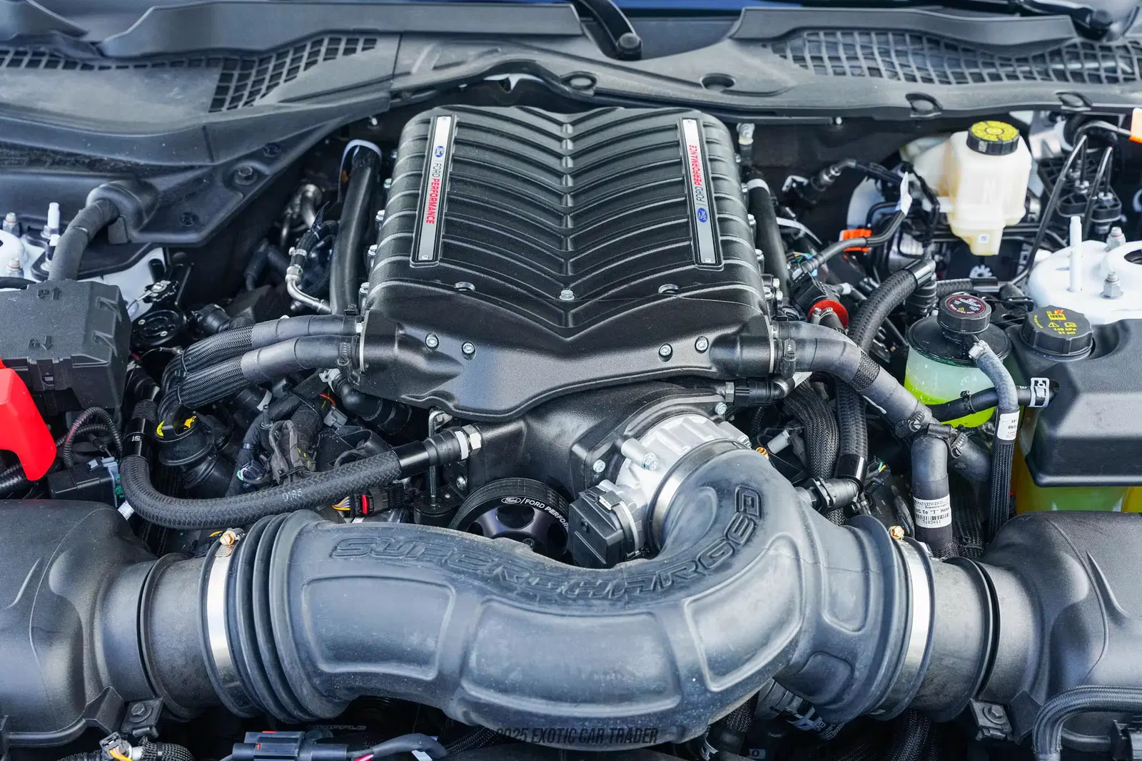 2025 Ford Mustang GT Supercharged