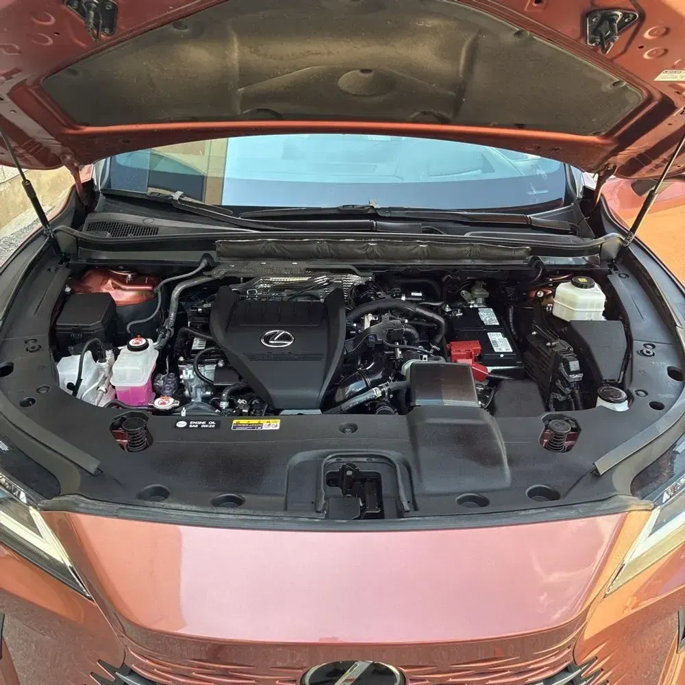 2023 Lexus RX 350 Premium+