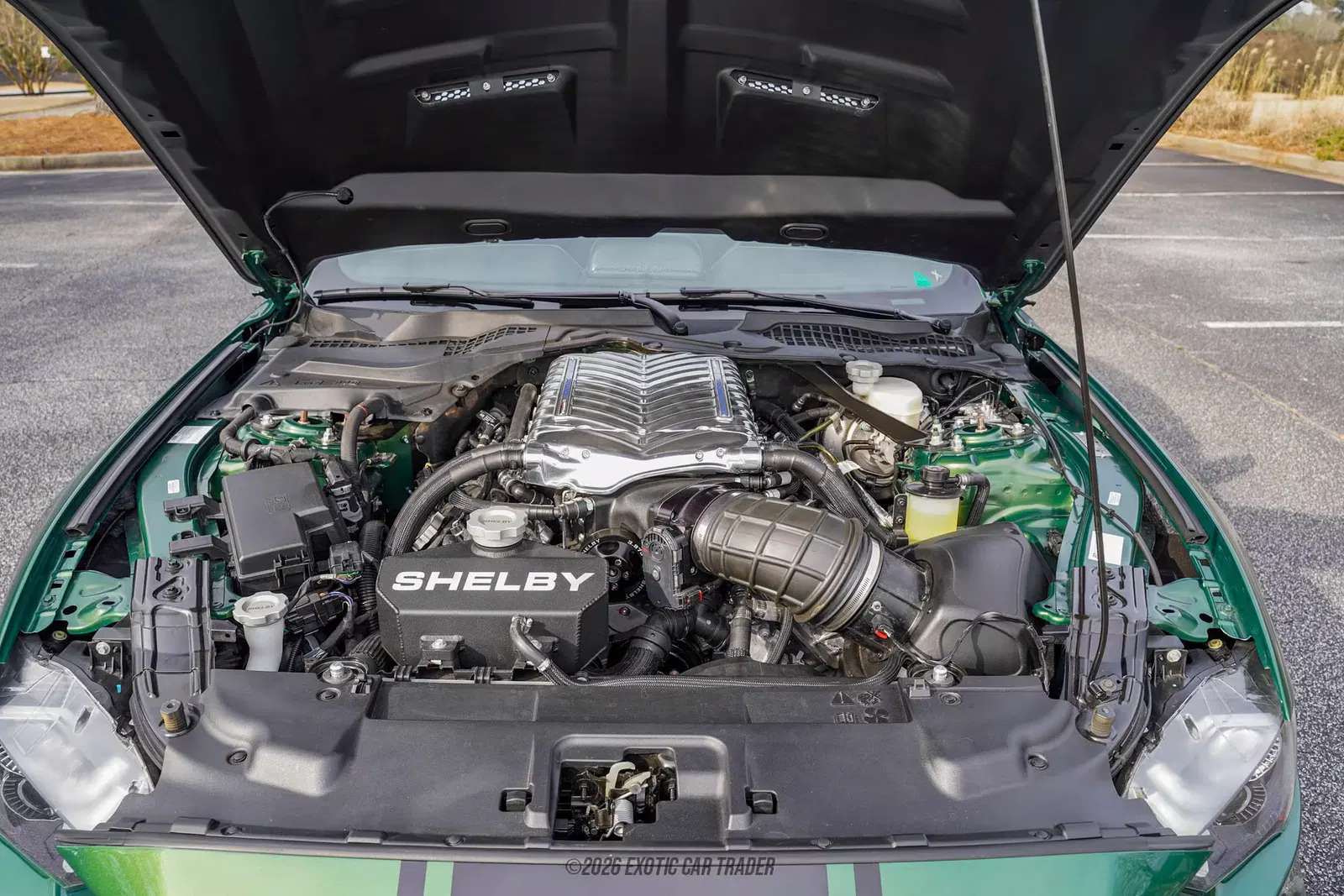 2023 Ford Mustang Shelby Super Snake