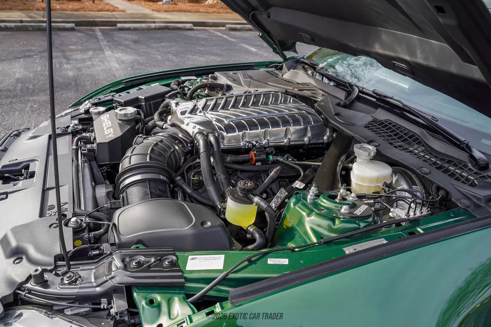 2023 Ford Mustang Shelby Super Snake